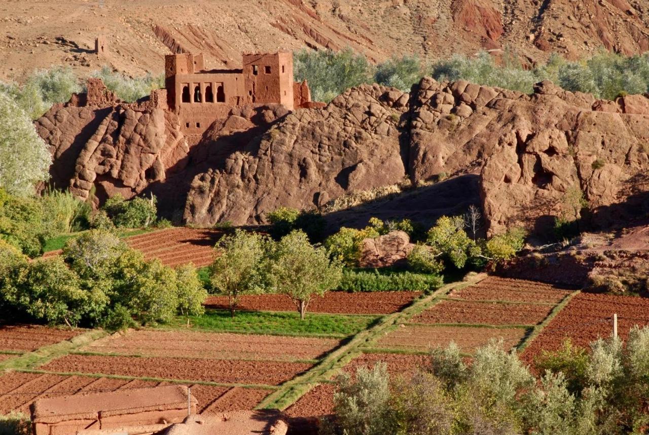 Les 4 Saisons Du Dades Bed and Breakfast Aït Idaïr Εξωτερικό φωτογραφία